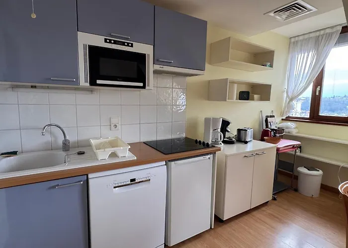 Au Dernier Etage Avec Parking Et Climatisation A Aix-les-bains! - Fr-1-555-42 公寓 艾克斯莱班