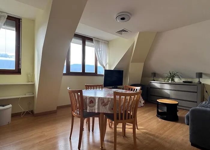 Au Dernier Etage Avec Parking Et Climatisation A Aix-les-bains! - Fr-1-555-42 * 艾克斯莱班